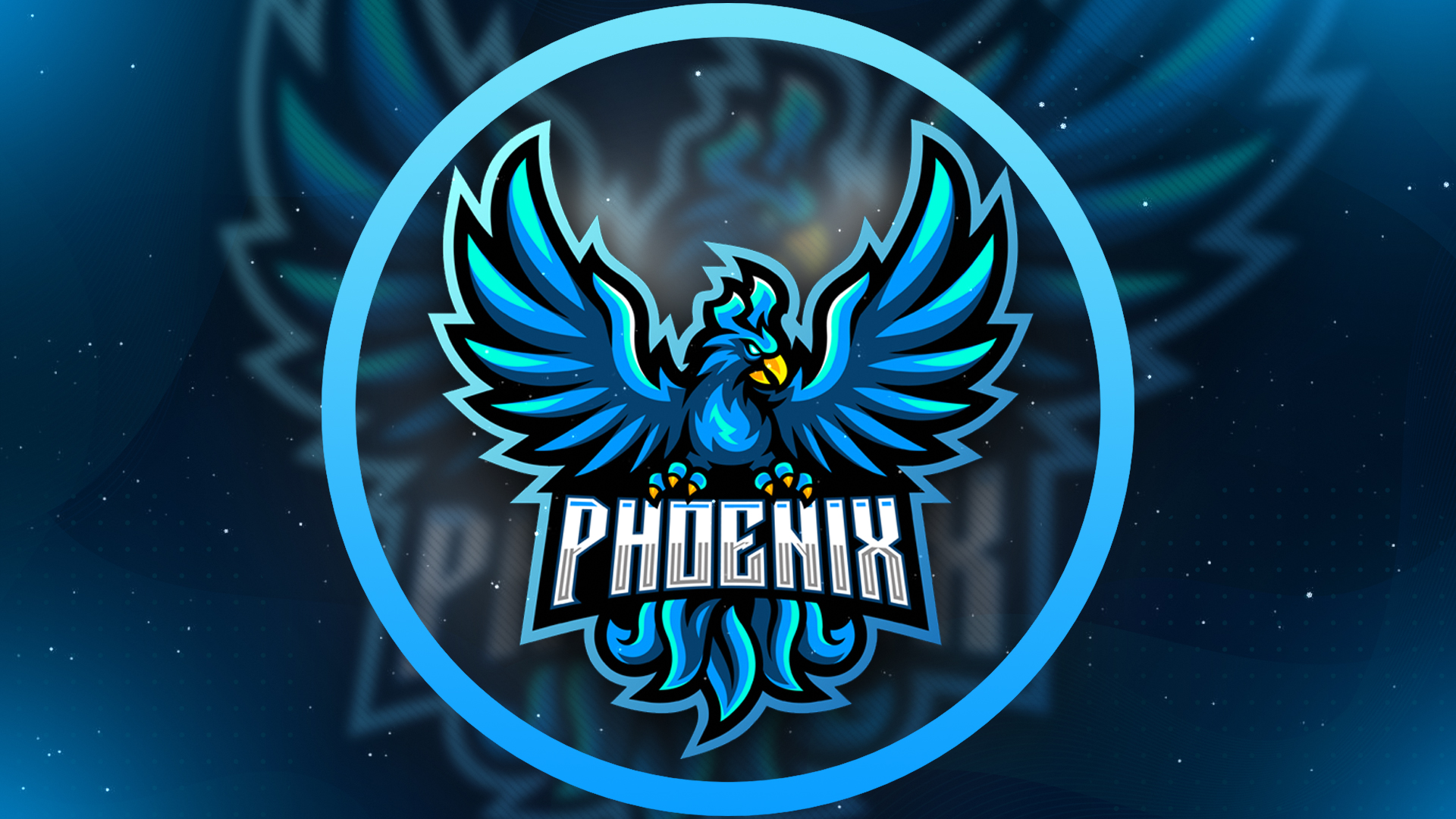 PhoenixTeam