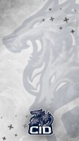 Invitation Banner
