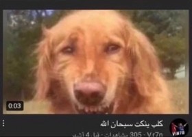 Ylda