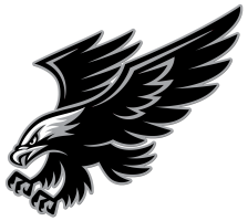 xXFalconXx