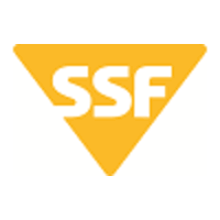 Special Security Force
