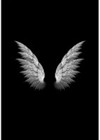 Invitation Banner