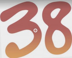 thirty eight