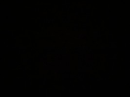 Invitation Banner