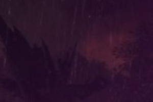 Invitation Banner