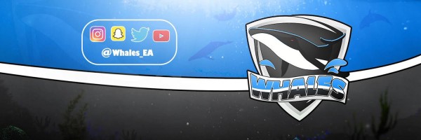Invitation Banner