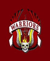 vWarriors