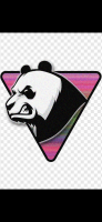 Panda team