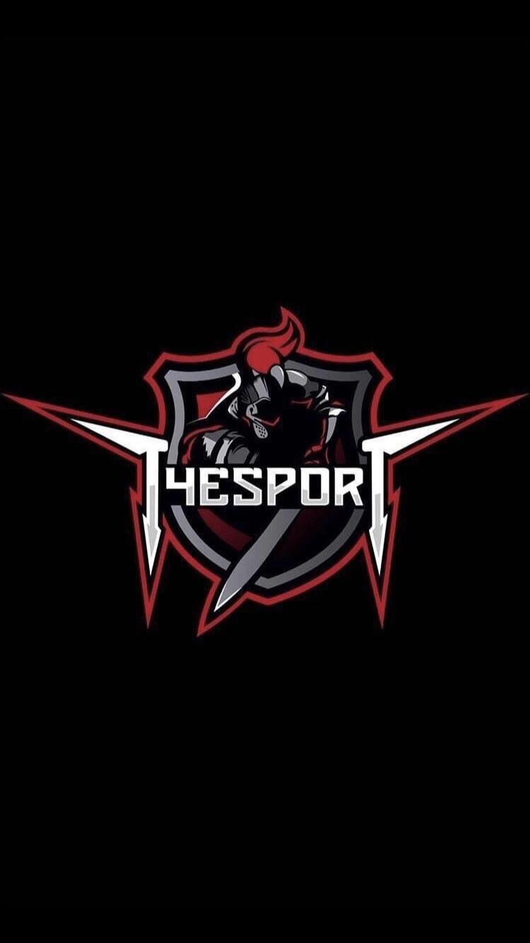 t4esports Overwatch