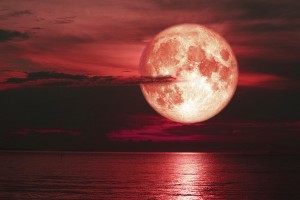 moonlights