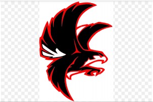 RED FALCONS eSport