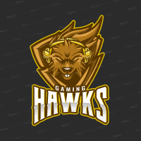 hawks Esport