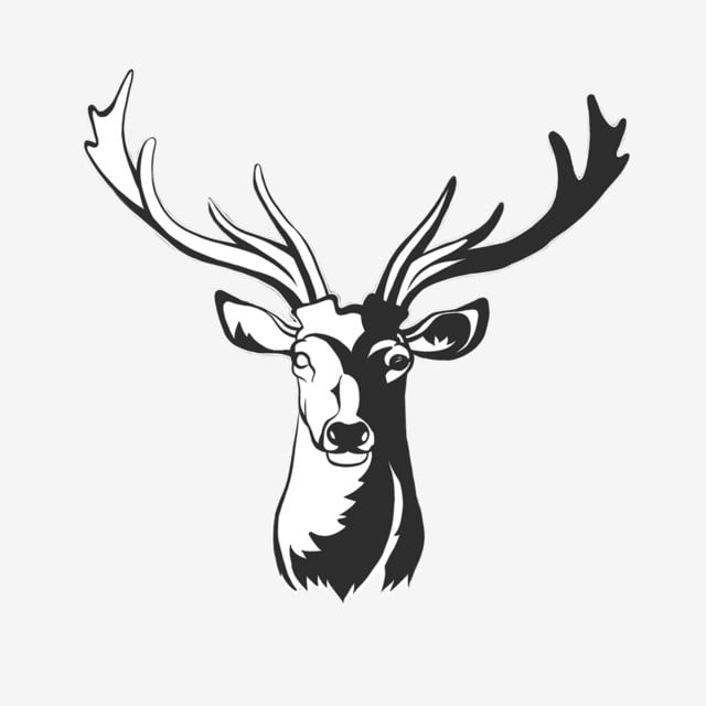 the deers