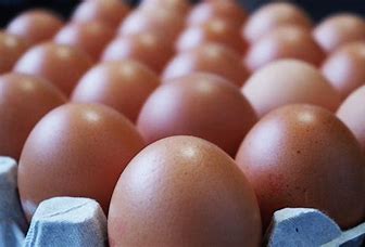 EGGSSY