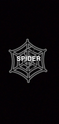 SPIDER