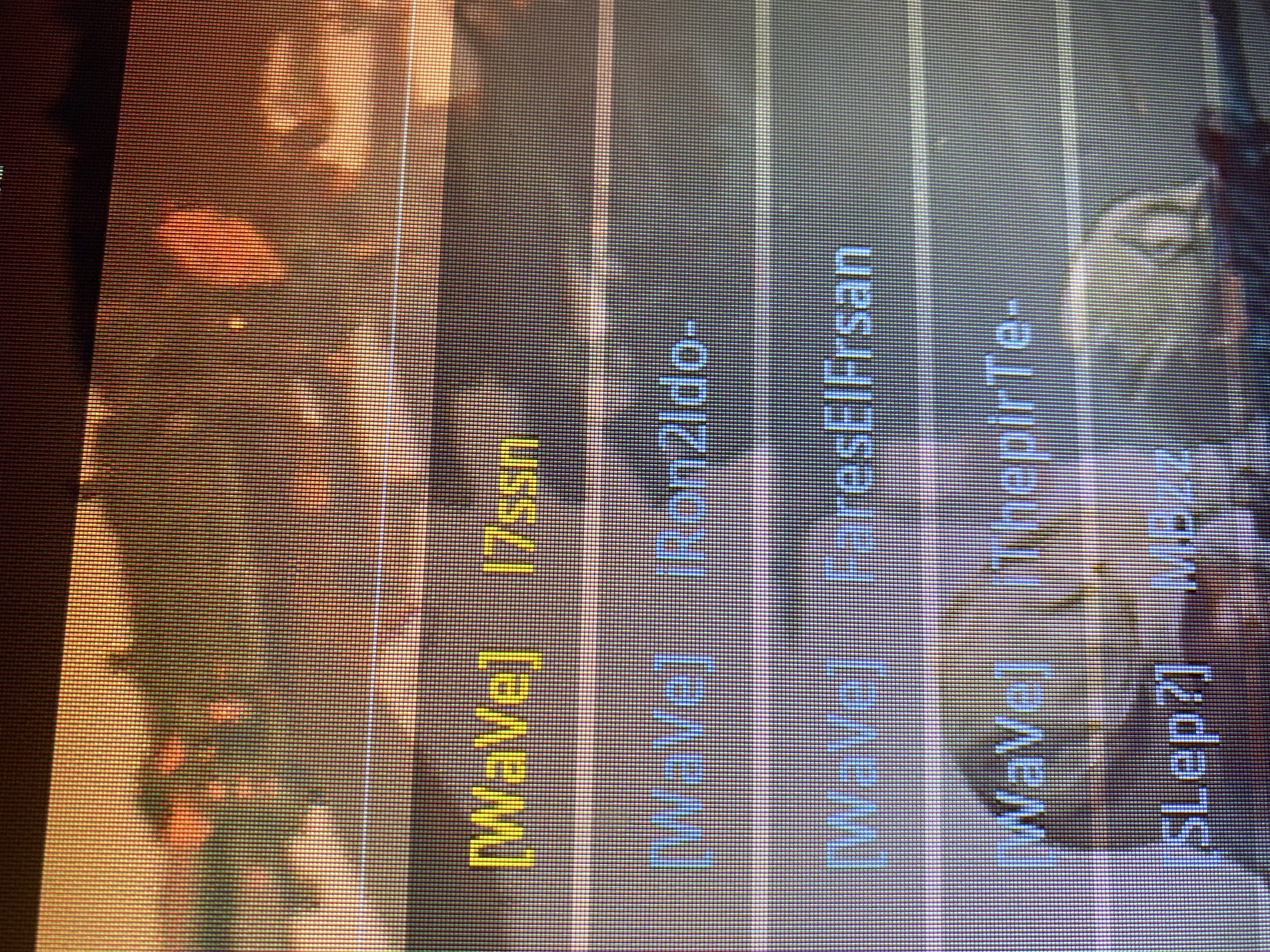 IWaVeI