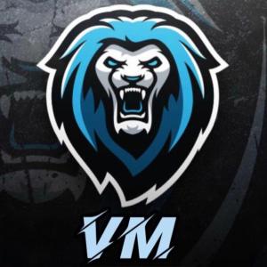 iVMM