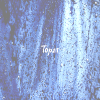 Toopz