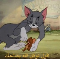 TomeeAndJerry