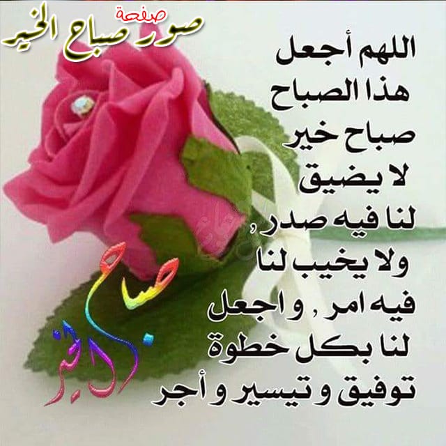 Nooy