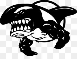 Whales