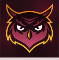 Najd Hawks