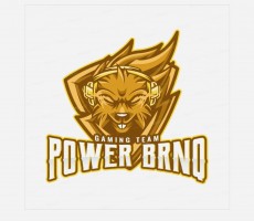 Power brnq
