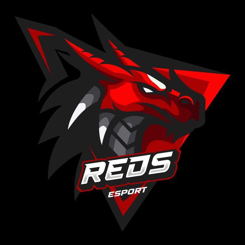 Reds E Sport
