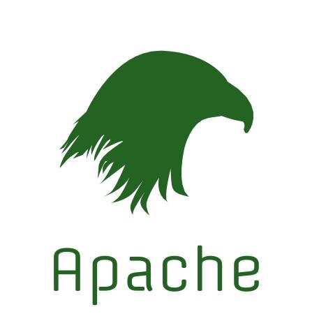 The Apache Falcons