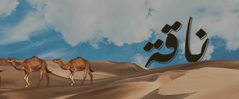 Invitation Banner