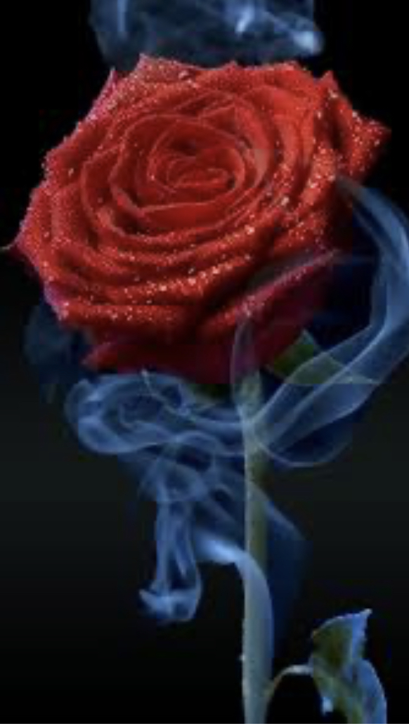 WRDH