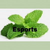 MintEsport