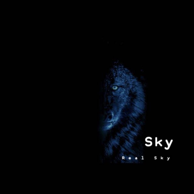 RealSky