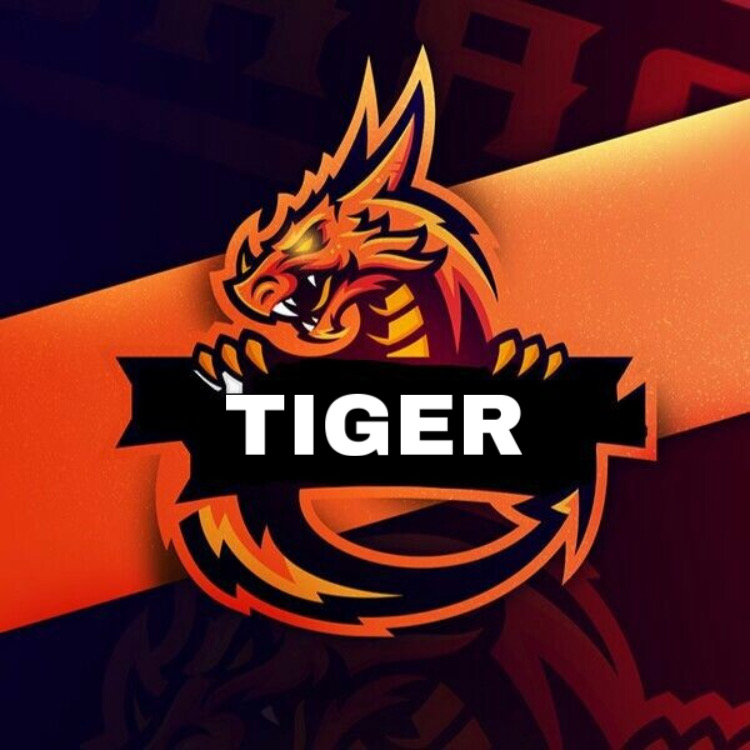 TIGAR esport