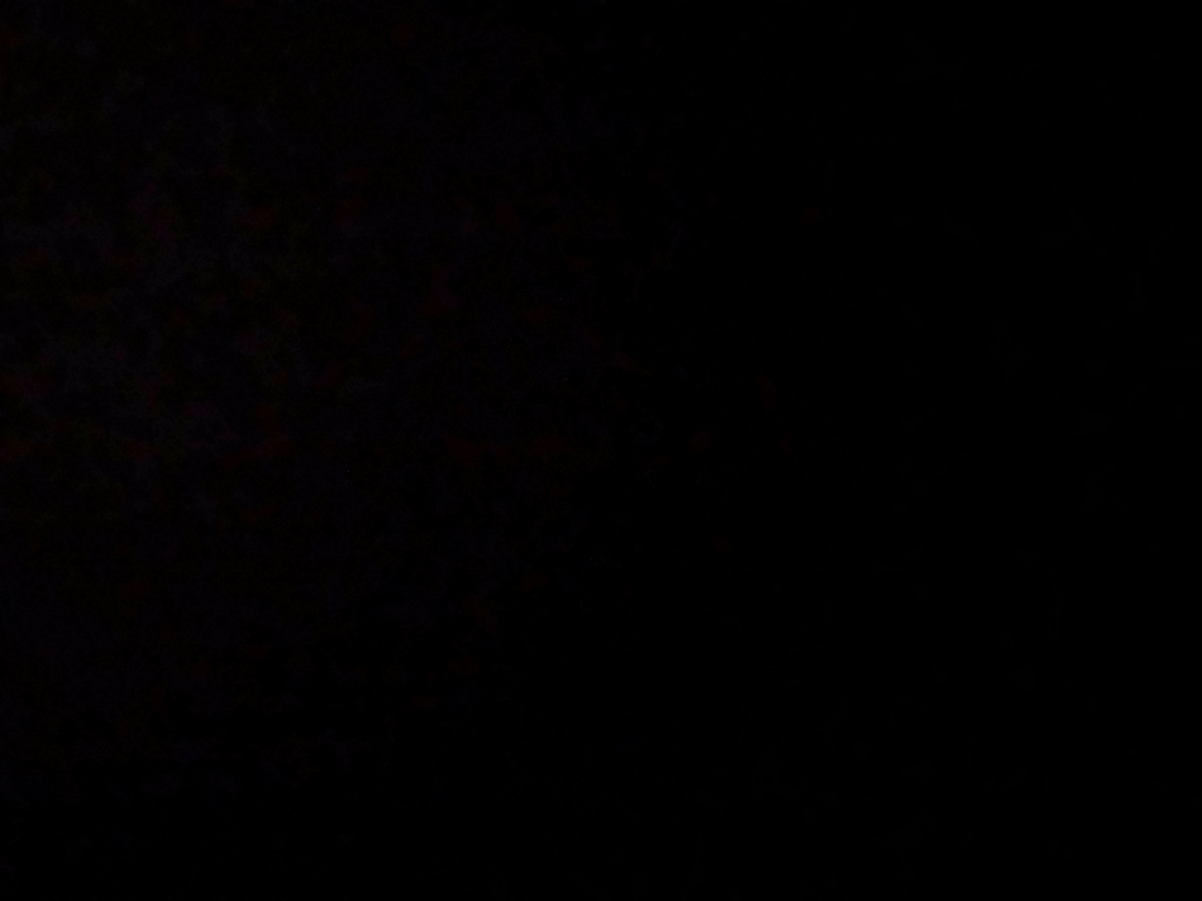 vPnG