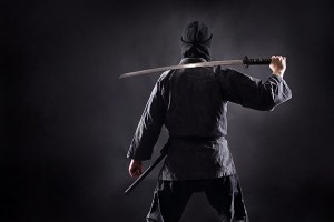 Ninja Sport