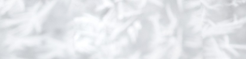 Invitation Banner