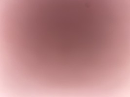 Invitation Banner