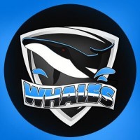WhalesEA