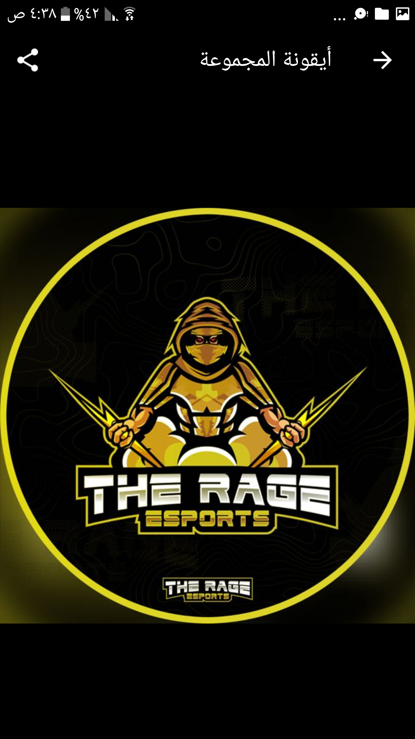 ssTHE RAGE esports