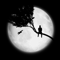 MoonLightt