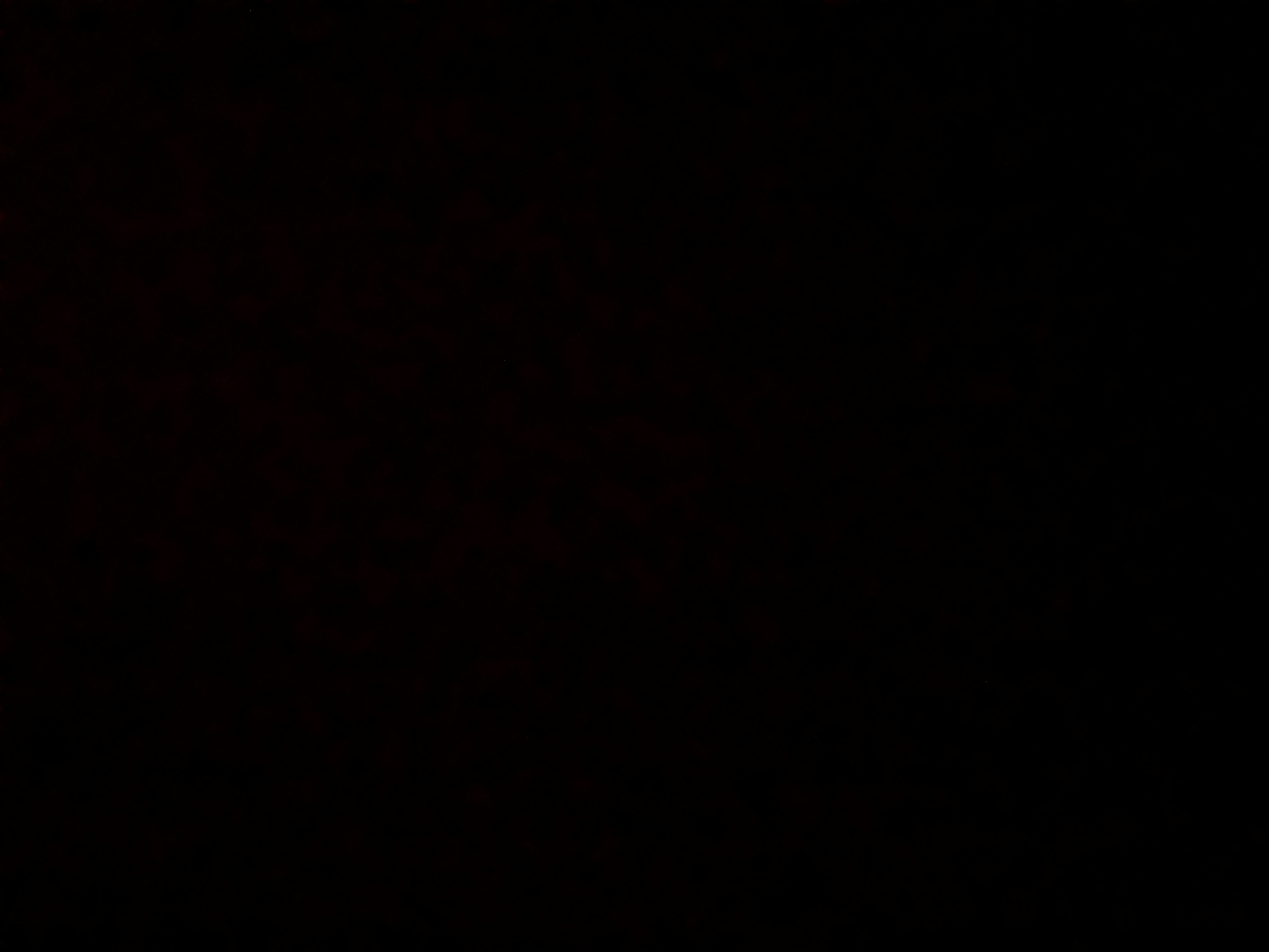 Invitation Banner