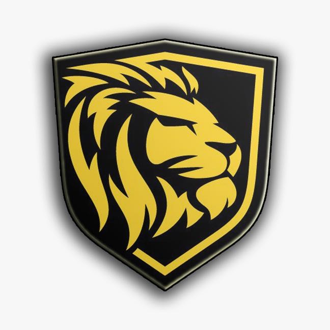LioNE-Sports