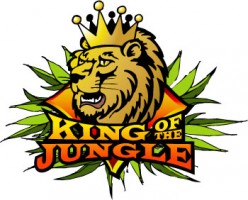 kings of the jungle
