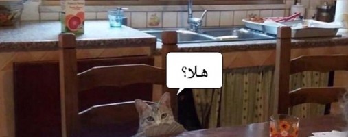 SoVaD