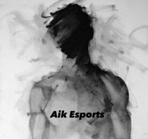Aikesport