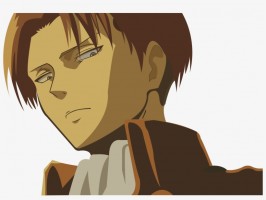 We are Levi