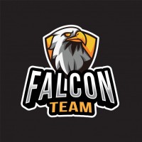 FALCON TEAM