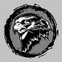 falcon KSA