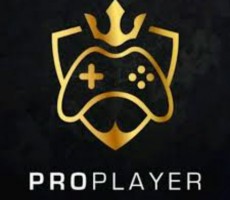 PRO PLAYERR